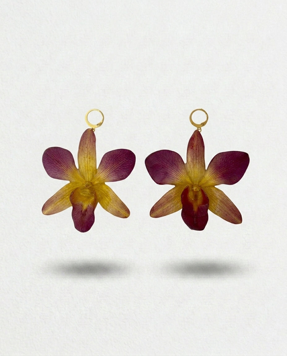 Multi color dangling orchid earrings.