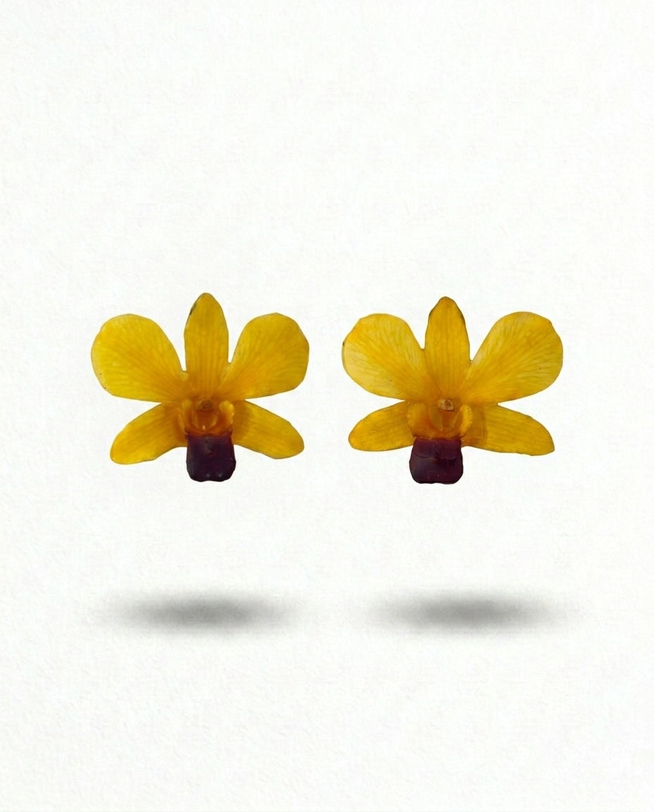 Real yellow orchid studs